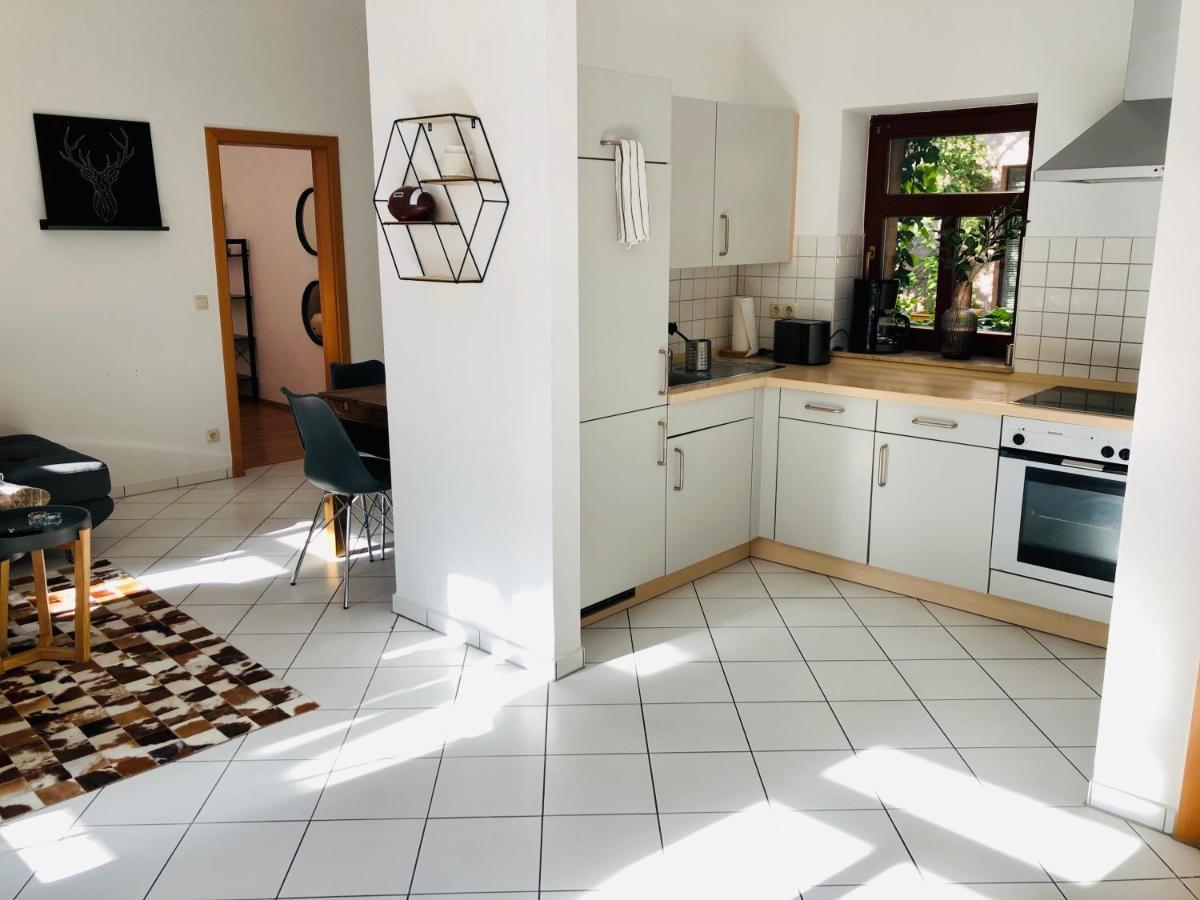 Ferienwohnungen Mit Terrasse In Zwingernaehe - Hilger Rentals Dresden Buitenkant foto