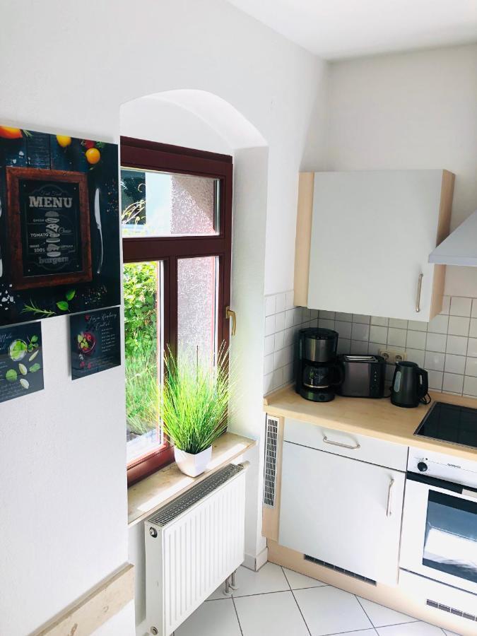 Ferienwohnungen Mit Terrasse In Zwingernaehe - Hilger Rentals Dresden Buitenkant foto
